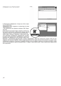 Страница 157