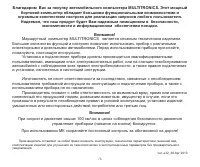 Multitronics VG1031S