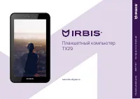 Irbis TX29