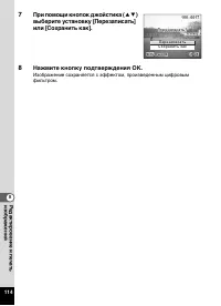 Страница 116