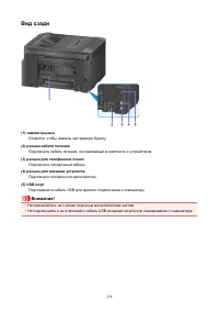 Страница 258
