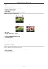 Страница 141