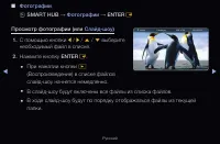 Страница 279