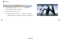 Страница 273