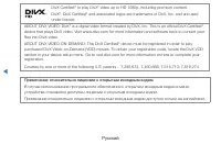 Страница 310