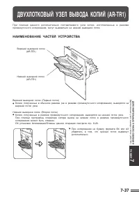 Страница 145