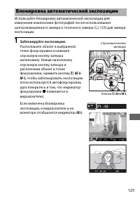 Страница 151