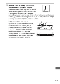 Страница 243