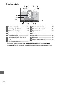 Страница 258