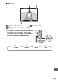 Страница 259