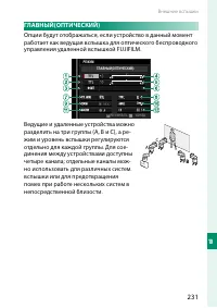 Страница 249