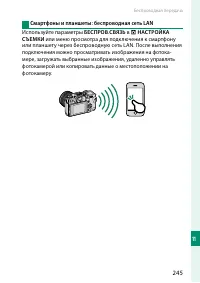 Страница 263