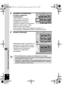 Страница 204