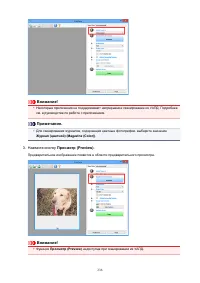 Страница 236