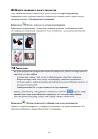 Страница 246