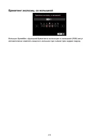 Страница 216