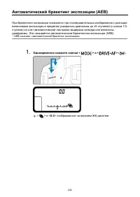 Страница 242