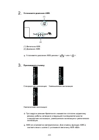 Страница 243