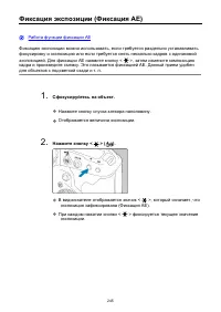 Страница 245