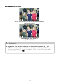 Страница 363