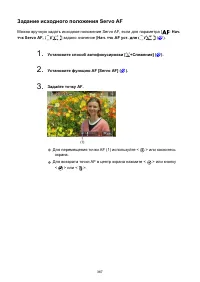 Страница 367