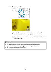 Страница 443