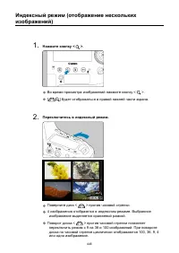 Страница 446