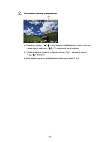 Страница 466