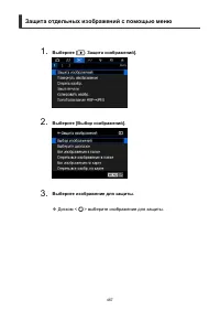 Страница 467