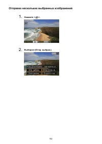 Страница 562