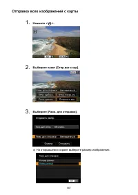 Страница 567