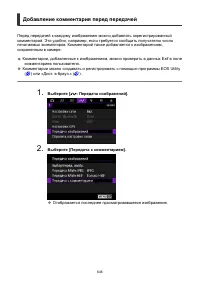 Страница 646