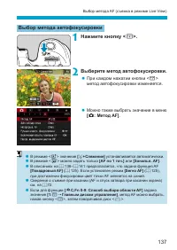 Страница 137