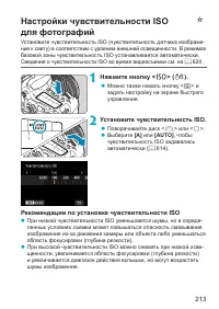 Страница 213