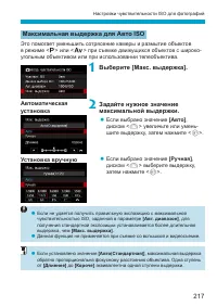 Страница 217