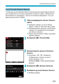 Страница 225