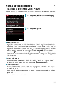 Страница 243