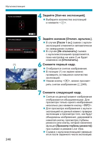 Страница 246