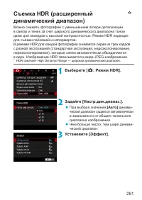 Страница 251