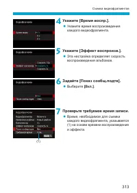 Страница 313