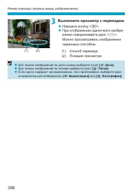 Страница 388