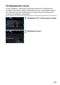 Страница 393