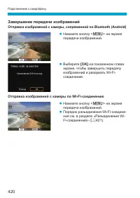 Страница 420