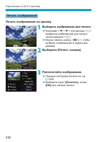 Страница 436