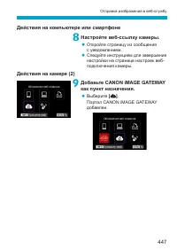 Страница 447