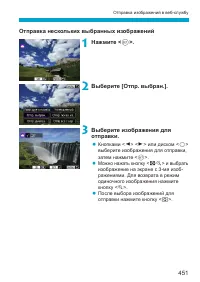 Страница 451