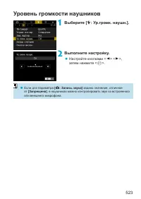 Страница 523