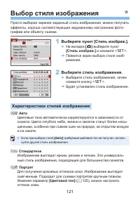 Страница 121