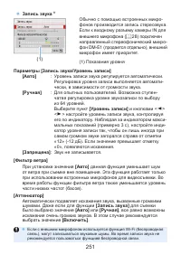 Страница 251