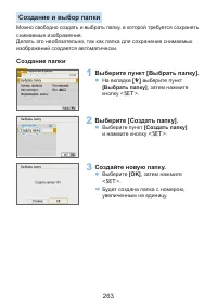 Страница 263
